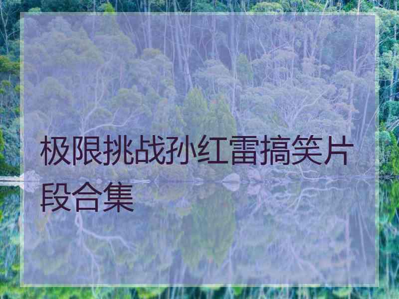 极限挑战孙红雷搞笑片段合集