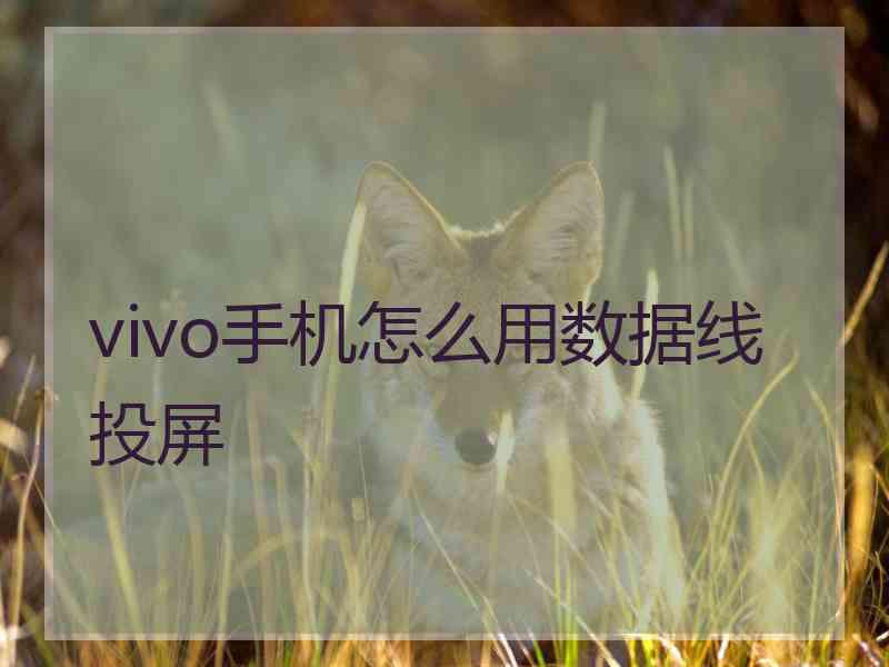 vivo手机怎么用数据线投屏