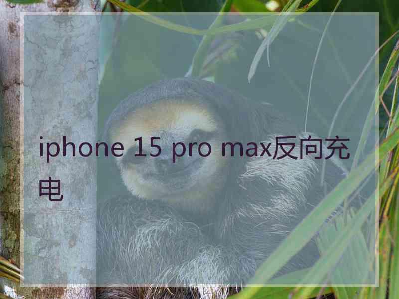 iphone 15 pro max反向充电