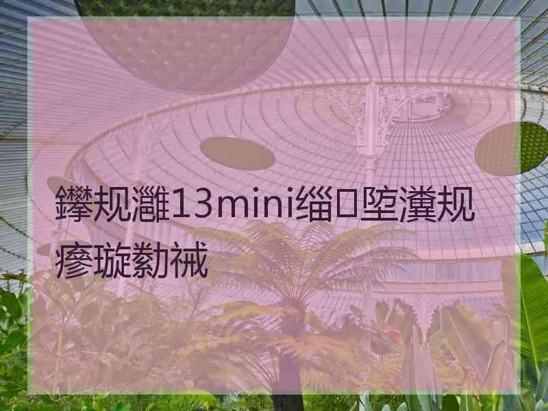 鑻规灉13mini缁埅瀵规瘮璇勬祴