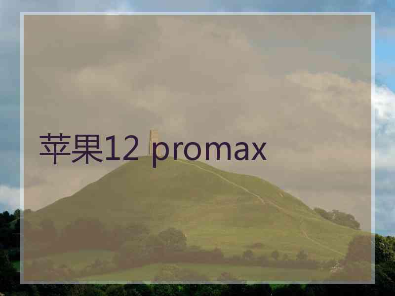 苹果12 promax