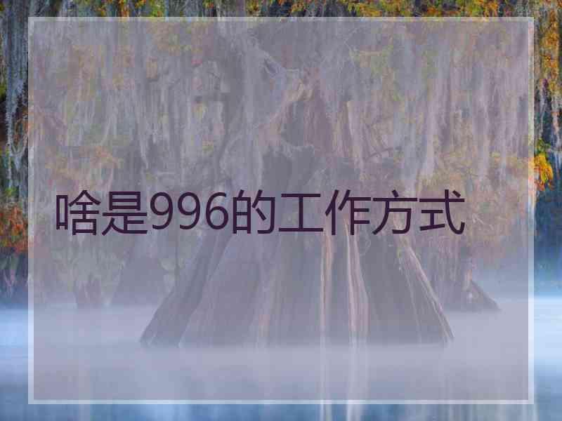 啥是996的工作方式