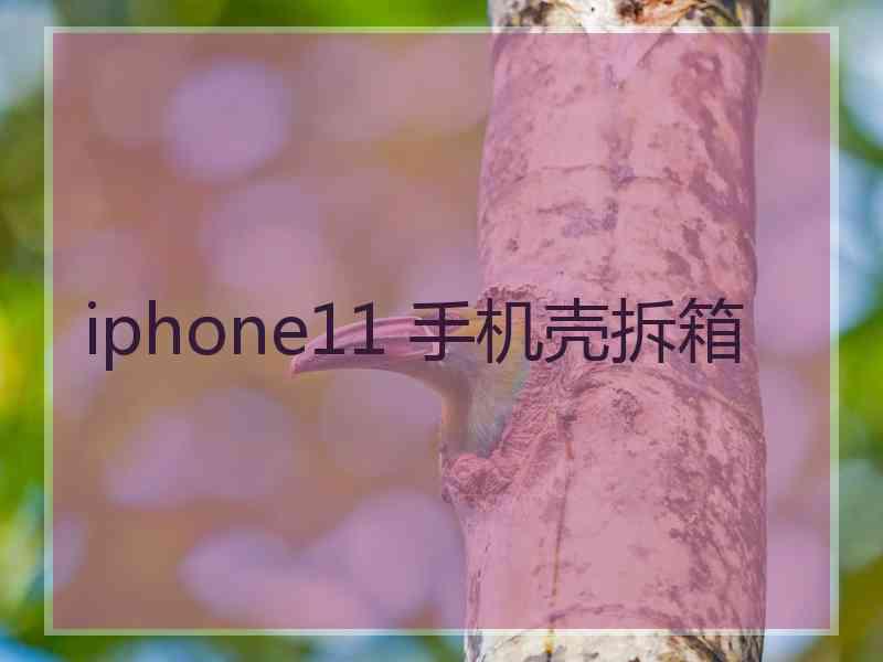 iphone11 手机壳拆箱