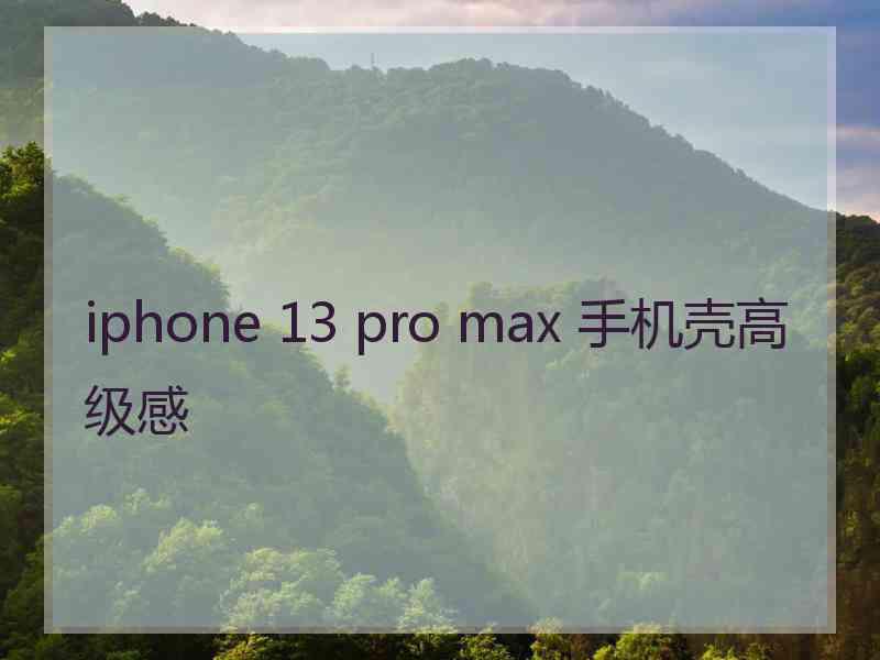 iphone 13 pro max 手机壳高级感