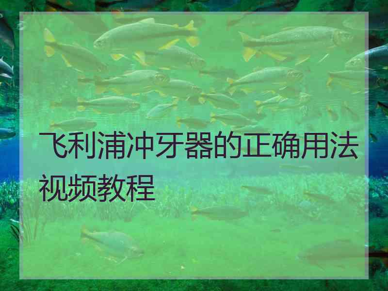 飞利浦冲牙器的正确用法视频教程