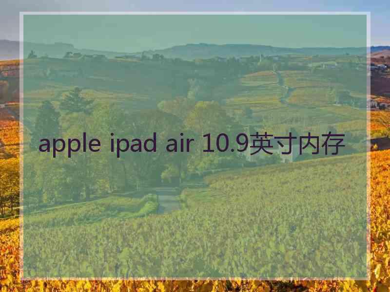 apple ipad air 10.9英寸内存