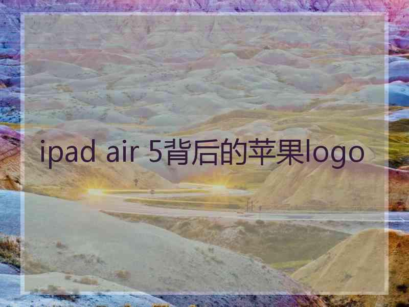 ipad air 5背后的苹果logo