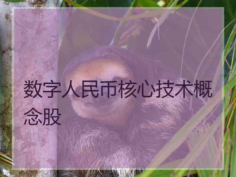 数字人民币核心技术概念股