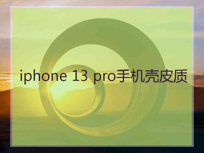 iphone 13 pro手机壳皮质