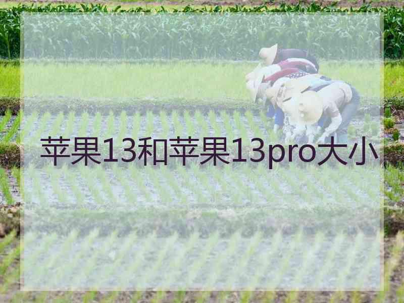 苹果13和苹果13pro大小