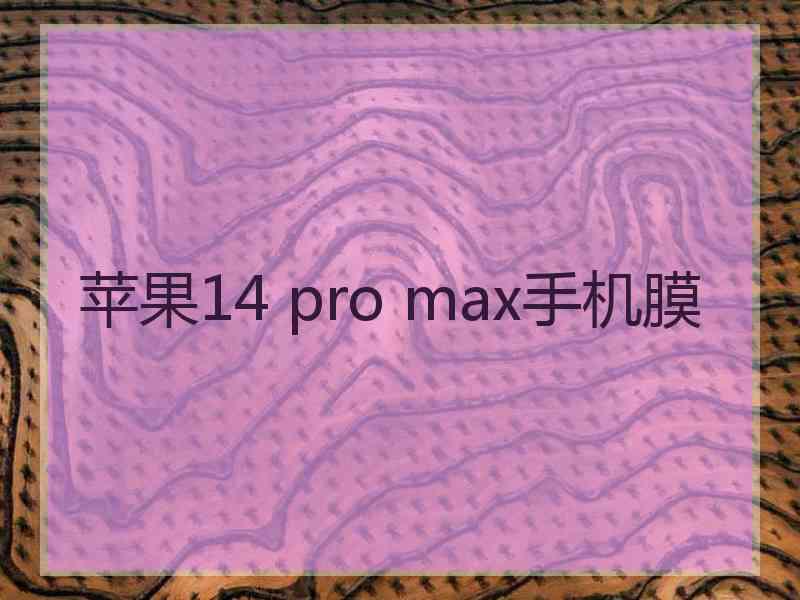 苹果14 pro max手机膜