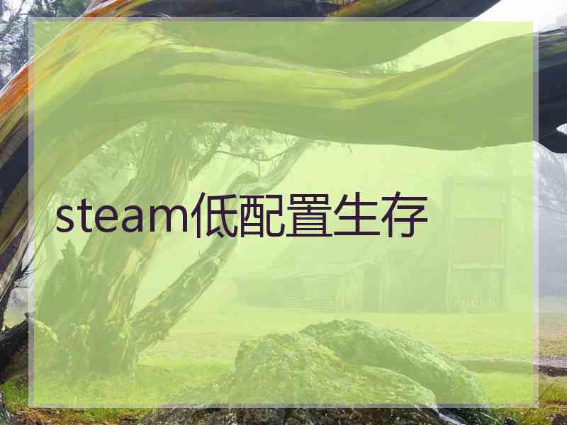 steam低配置生存