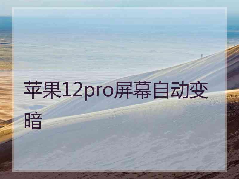 苹果12pro屏幕自动变暗