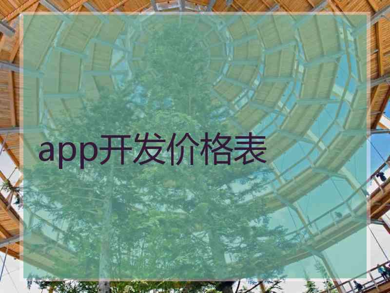 app开发价格表