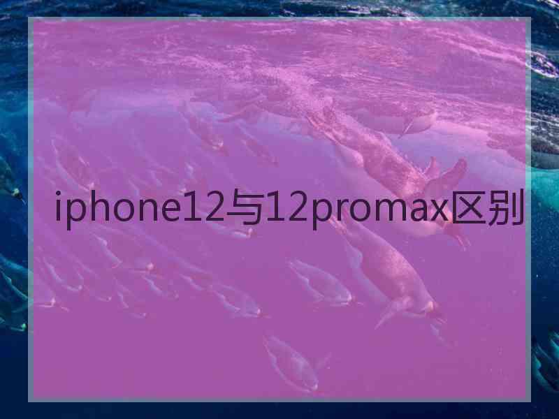 iphone12与12promax区别