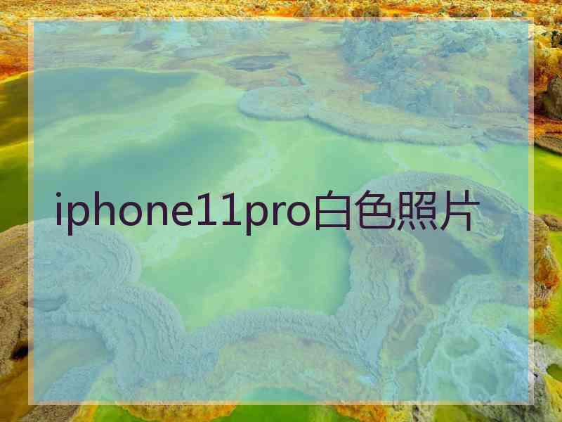 iphone11pro白色照片