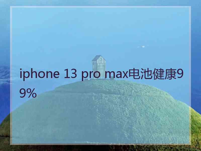 iphone 13 pro max电池健康99%