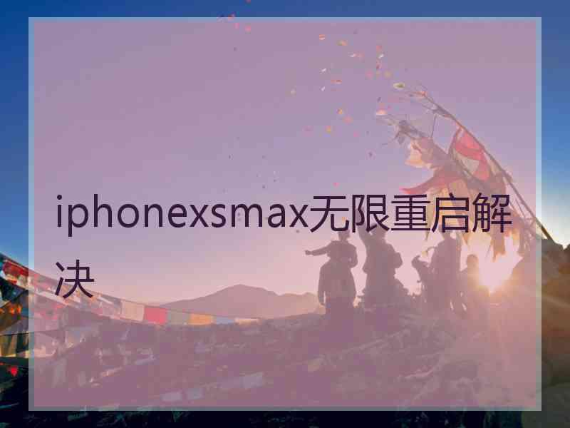 iphonexsmax无限重启解决