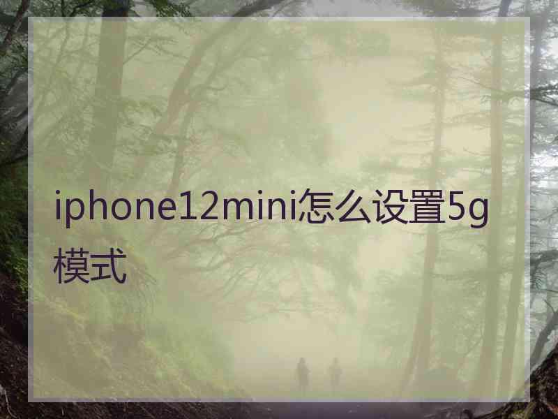 iphone12mini怎么设置5g模式