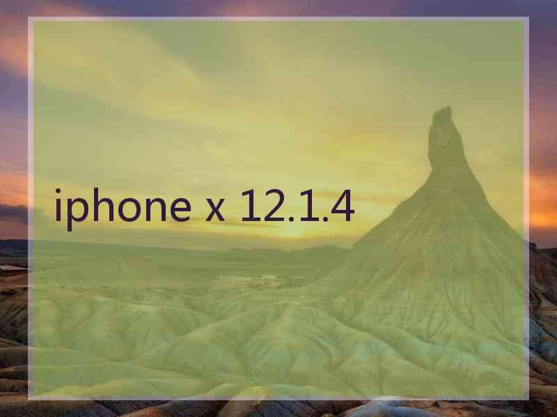 iphone x 12.1.4