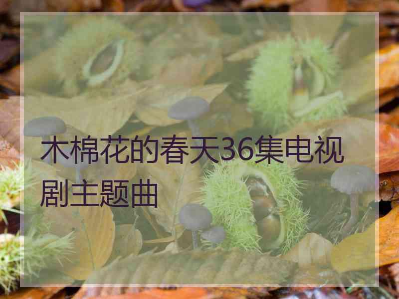 木棉花的春天36集电视剧主题曲