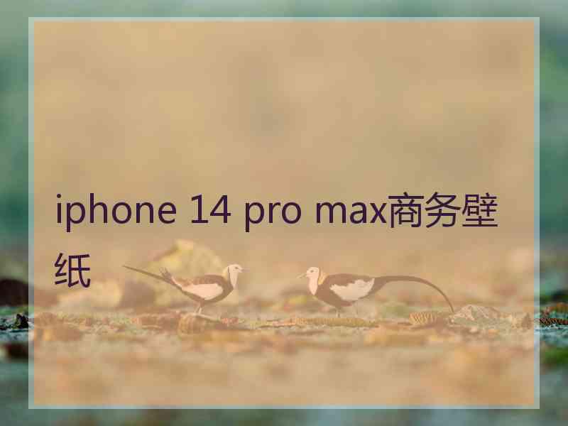 iphone 14 pro max商务壁纸