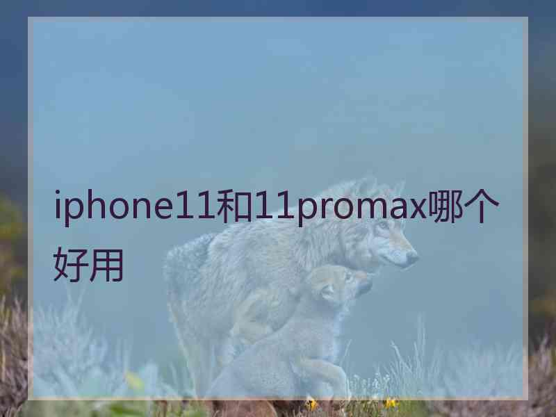 iphone11和11promax哪个好用