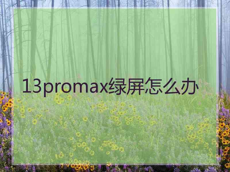 13promax绿屏怎么办