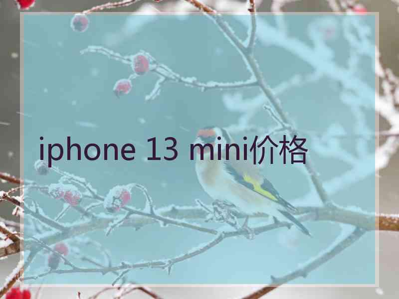 iphone 13 mini价格