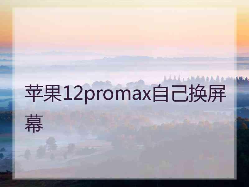 苹果12promax自己换屏幕