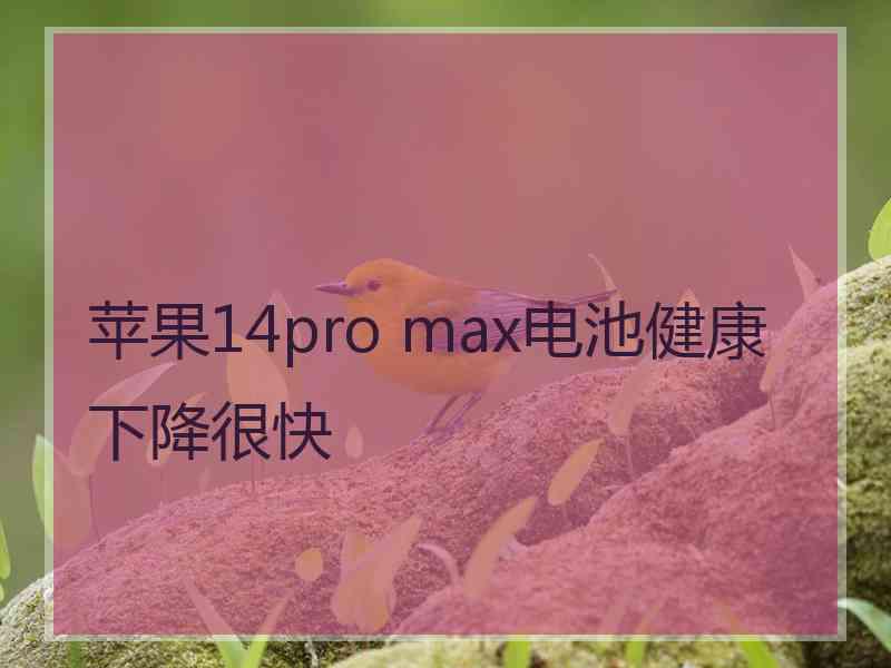 苹果14pro max电池健康下降很快