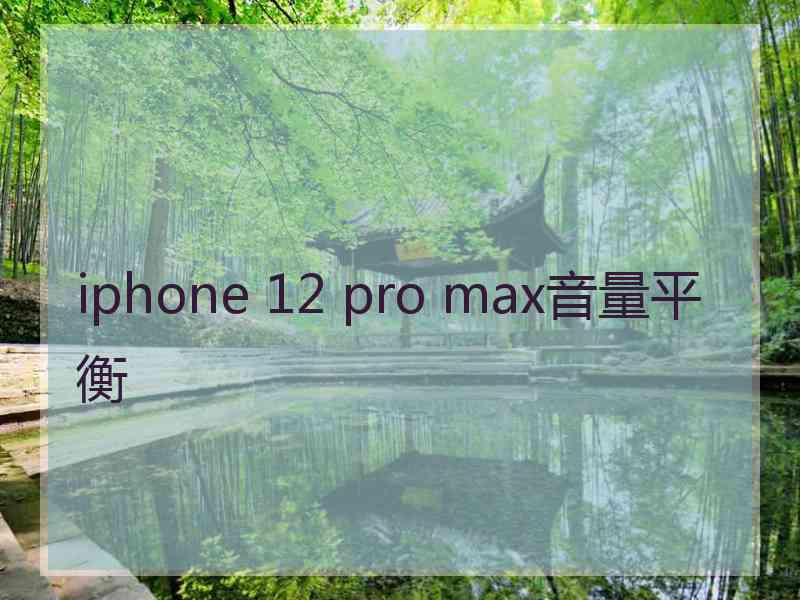 iphone 12 pro max音量平衡