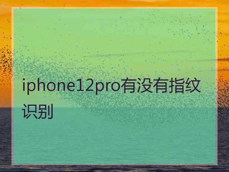 iphone12pro有没有指纹识别