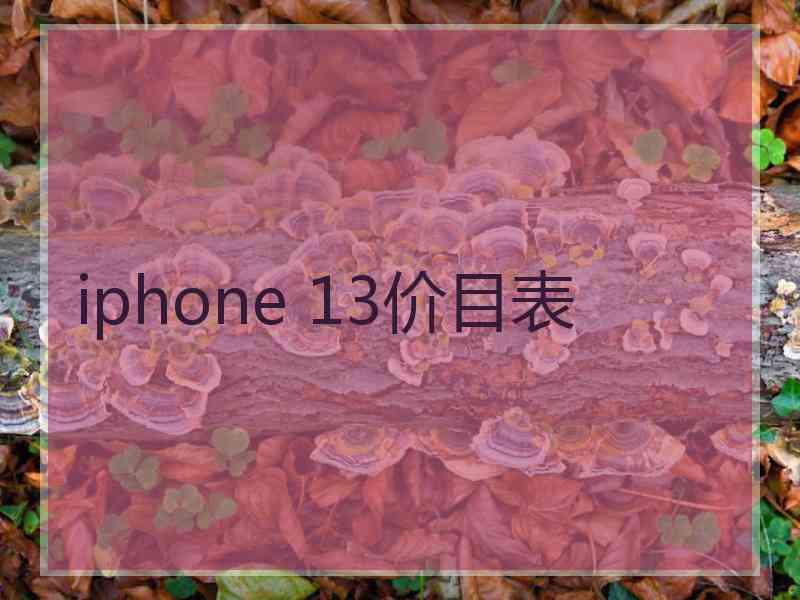 iphone 13价目表