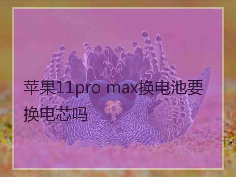 苹果11pro max换电池要换电芯吗