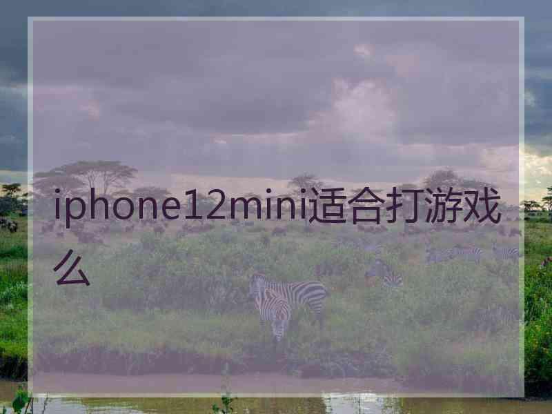 iphone12mini适合打游戏么