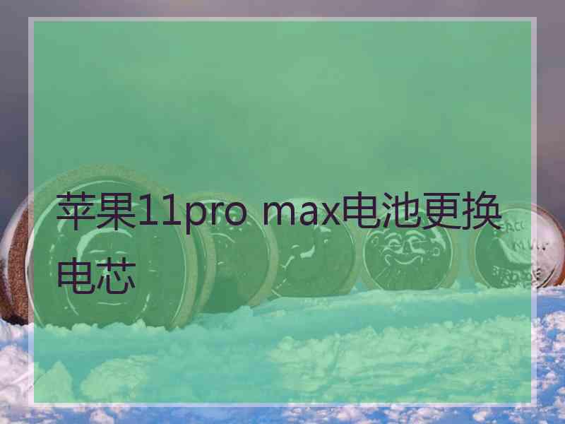 苹果11pro max电池更换电芯