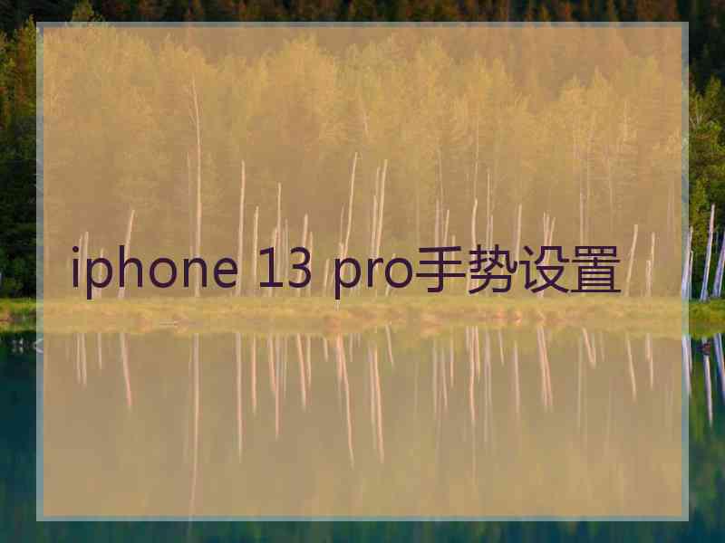 iphone 13 pro手势设置