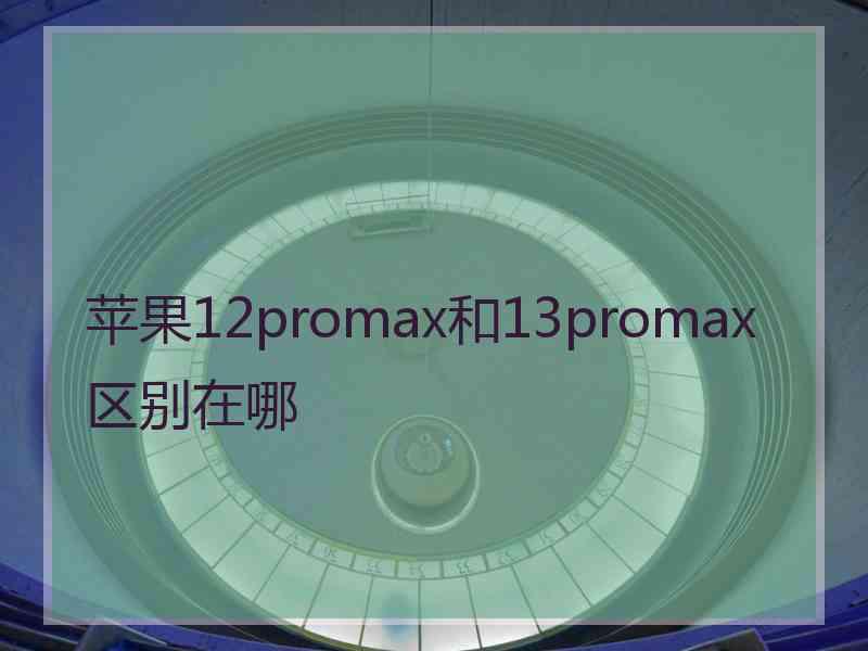 苹果12promax和13promax区别在哪