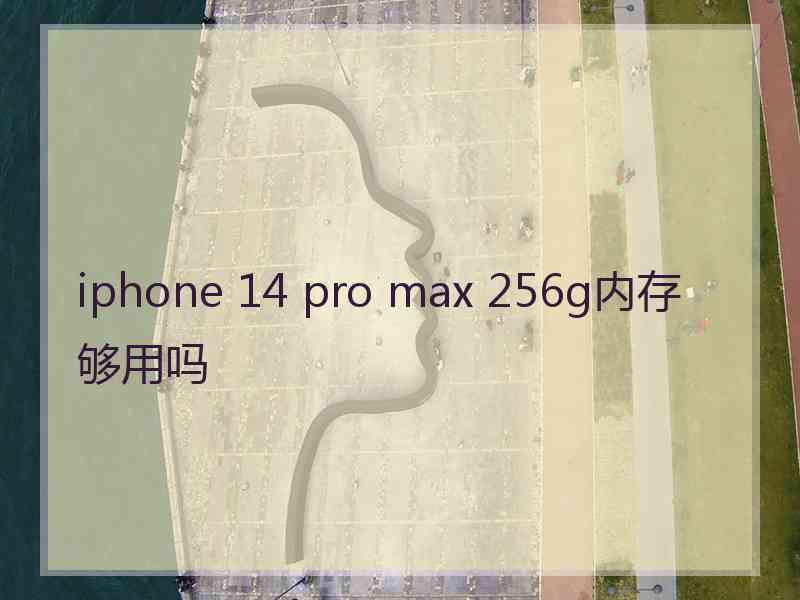 iphone 14 pro max 256g内存够用吗