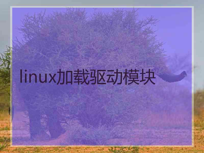 linux加载驱动模块