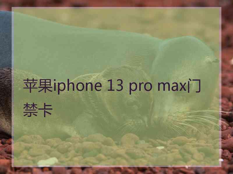 苹果iphone 13 pro max门禁卡