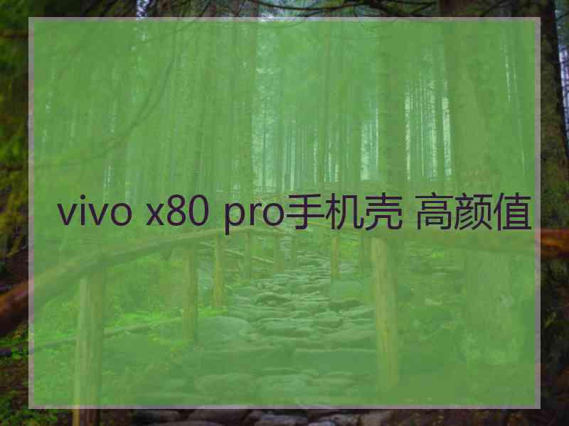 vivo x80 pro手机壳 高颜值