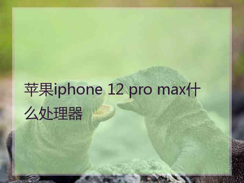 苹果iphone 12 pro max什么处理器