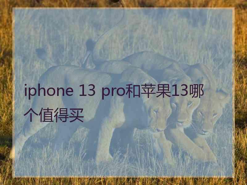 iphone 13 pro和苹果13哪个值得买