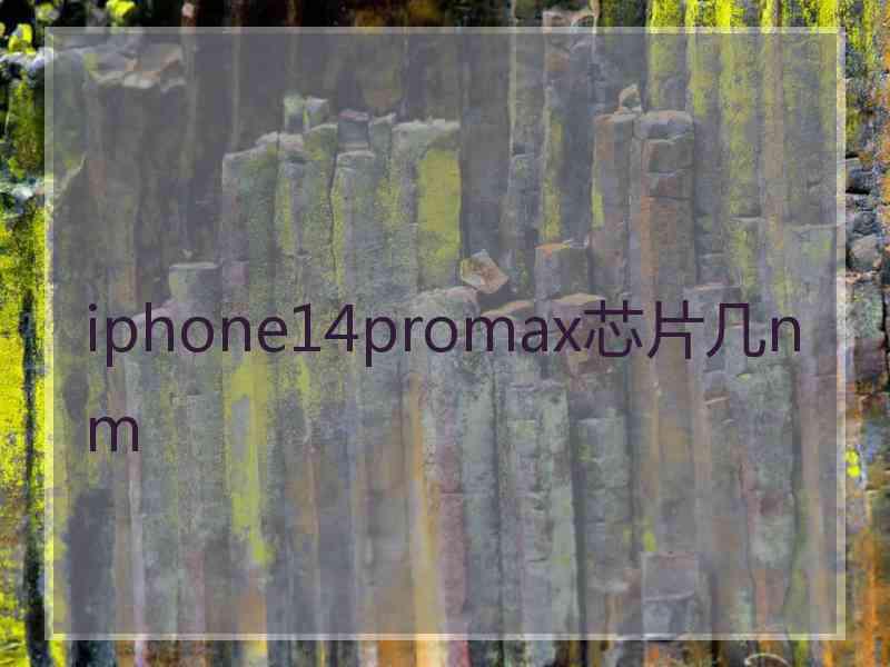 iphone14promax芯片几nm