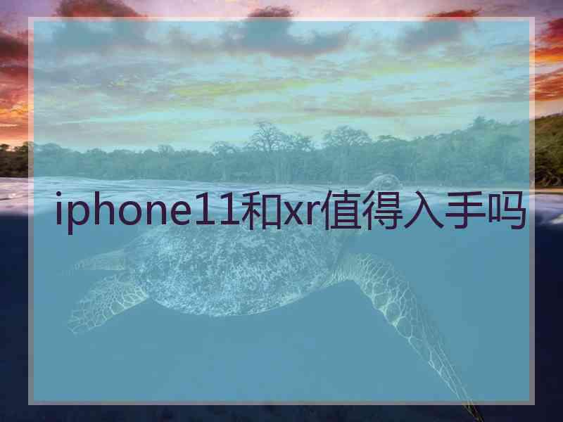 iphone11和xr值得入手吗