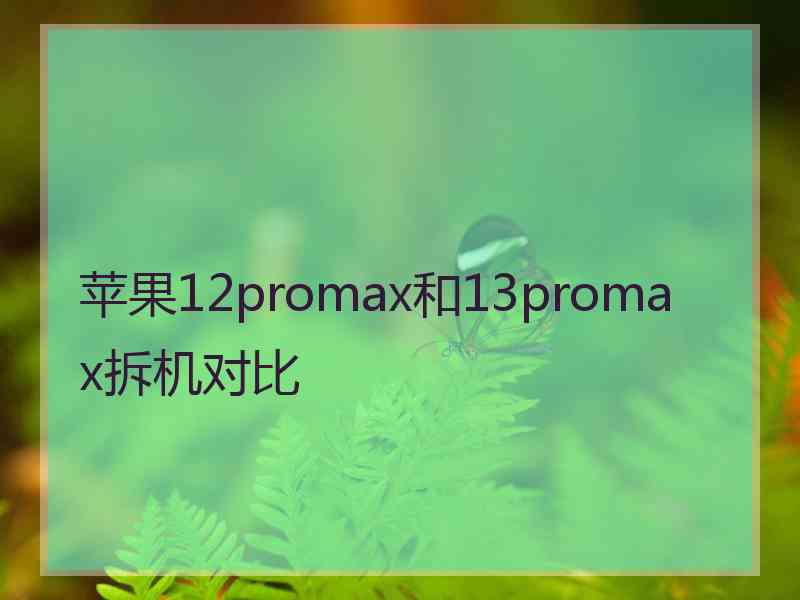 苹果12promax和13promax拆机对比