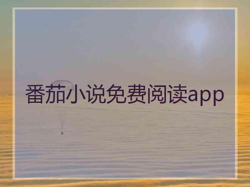 番茄小说免费阅读app