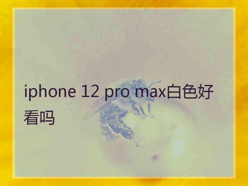 iphone 12 pro max白色好看吗